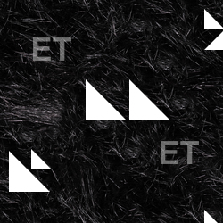 Photo High Resolution Seamless Fur Texture 0001