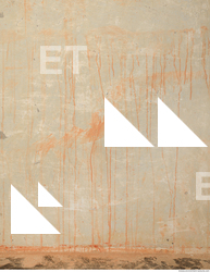 Wall Plaster Leaking