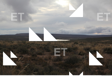 photo texture of background nature 0003