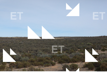 photo texture of background nature 0012