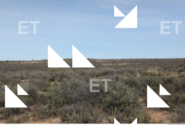 photo texture of background nature 0014