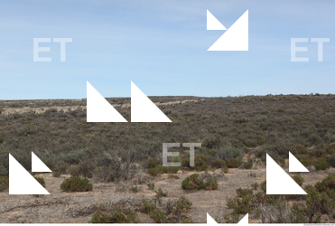 photo texture of background nature 0013