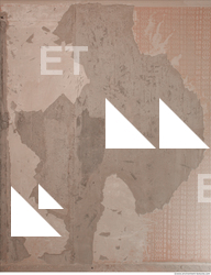 Walls Plaster Damaged