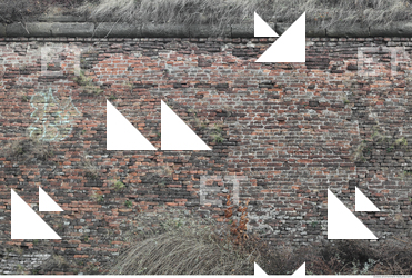 Wall Bricks Overgrown