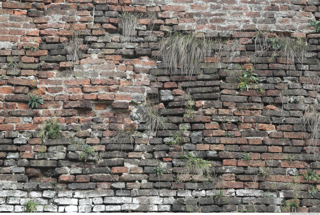 Wall Bricks Overgrown