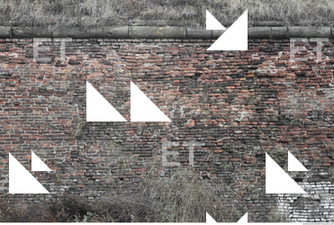 Wall Bricks Overgrown