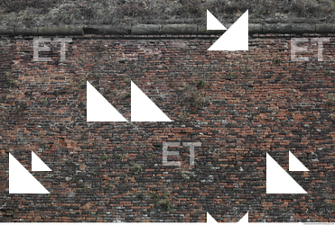 Wall Bricks Overgrown