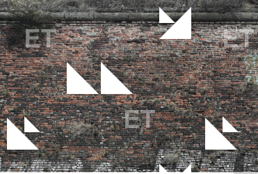 Wall Bricks Overgrown