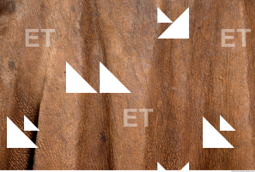 photo texture of leather  0006