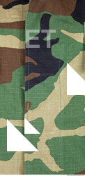 Camouflage Fabric