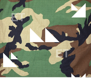 Camouflage Fabric