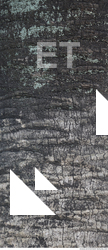 Tree Bark
