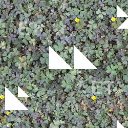 Seamless Groundplants