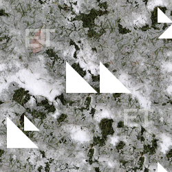 Seamless Ice & Snow