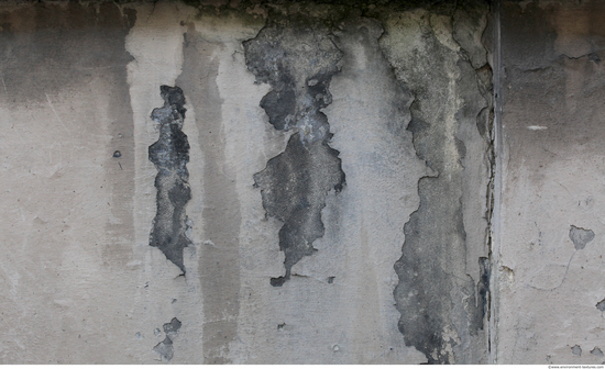 Wall Plaster Leaking