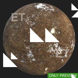 PBR substance material of forest ground snowy created in substance designer for graphic designers and game developers