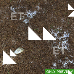 PBR substance material of forest ground snowy created in substance designer for graphic designers and game developers