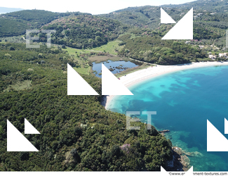 background nature 0001