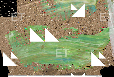 Brush & Paint Decals