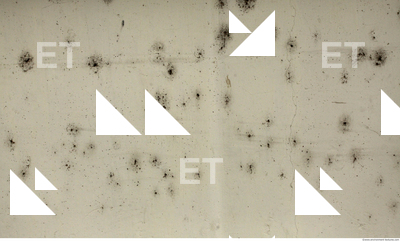 Wall Plaster Paint Peeling