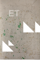 Wall Plaster Dirty