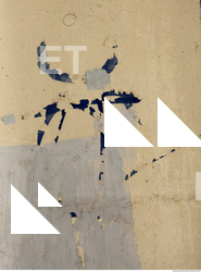 Wall Plaster Paint Peeling