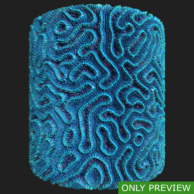 PBR substance material of coral created in substance designer for graphic designers and game developers