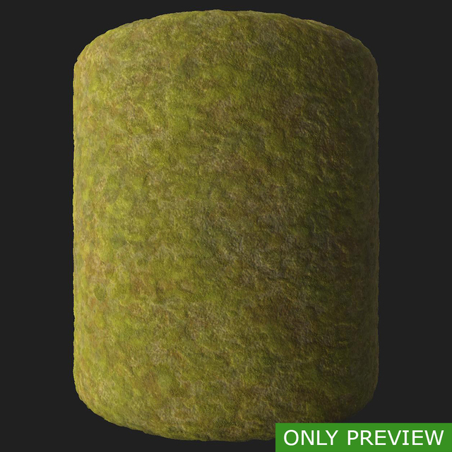 PBR substance material of moss created in substance designer for graphic designers and game developers