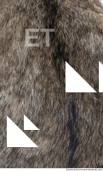 Fur