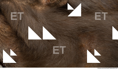 monkey skin fur  0004