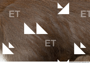 monkey skin fur  0008