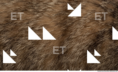 Fur