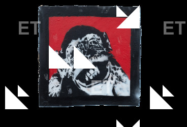 Graffiti & Tags Decals