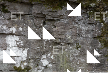 Cliffs Overgrown Rock