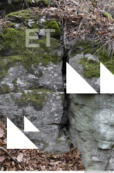 Cliffs Overgrown Rock