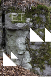 Cliffs Overgrown Rock