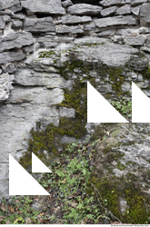Overgrown Walls Stones