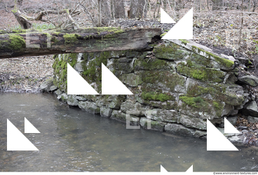 Overgrown Walls Stones