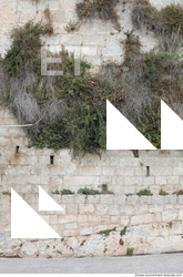 Overgrown Walls Stones