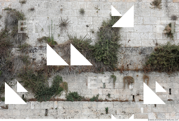 Overgrown Walls Stones