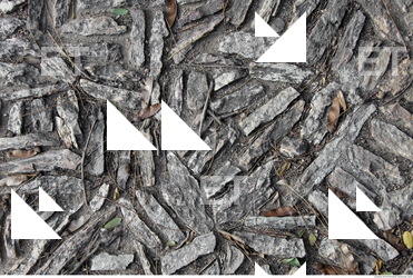 tiles floor stones 0001