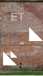 Wall Bricks Old