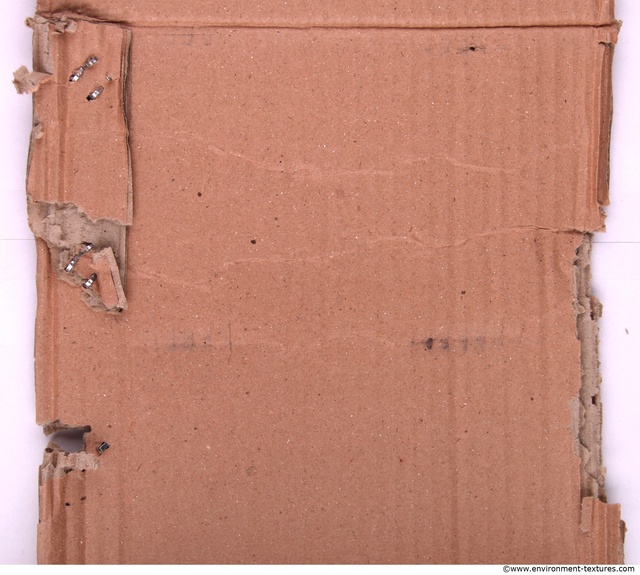 Damaged Cardboard