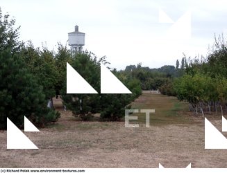 Photo Textures of Background Nature Summer