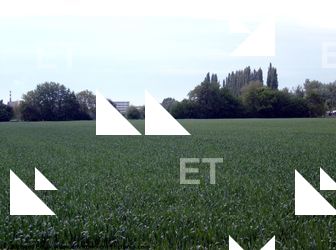 Photo Textures of Background Nature