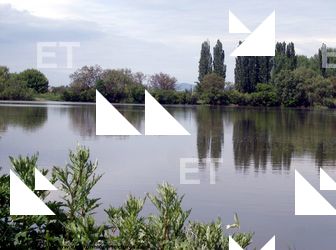 Photo Textures of Background Nature