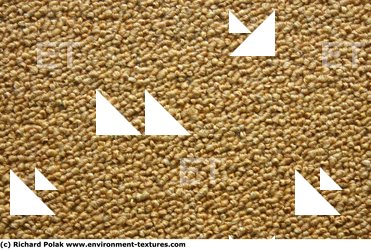 Photo Textures of Fabric Carpet