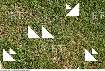 Photo Textures of Grass