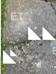 Photo Textures of Grounds