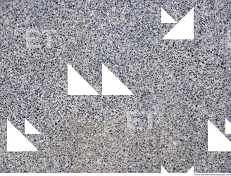 Photo Textures of Rock